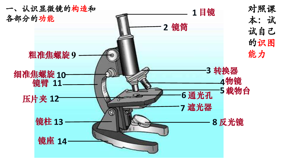 显微镜的部分名称图图片