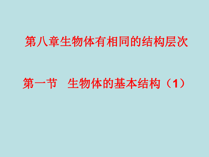 苏科版七年级下册生物 8.1生物体的基本结构 课件(24张PPT)