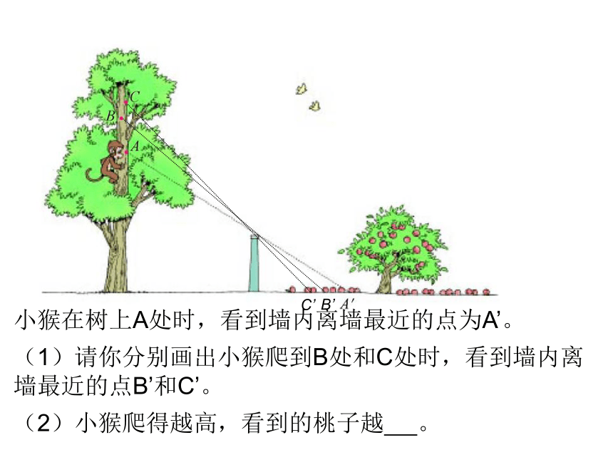 数学六年级上北师大版6.2观察的范围课件