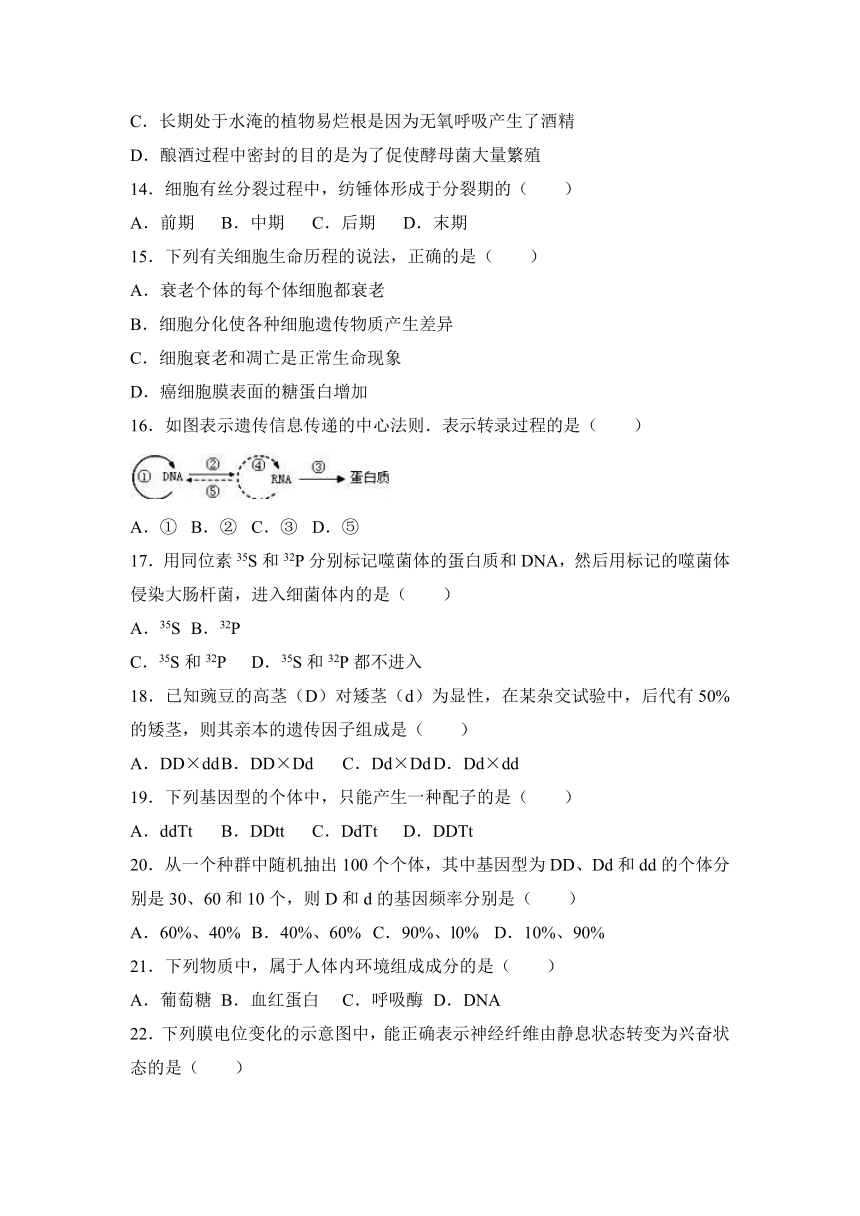 江苏省泰州市姜堰市2016-2017学年高二（上）期末生物试卷（解析版）