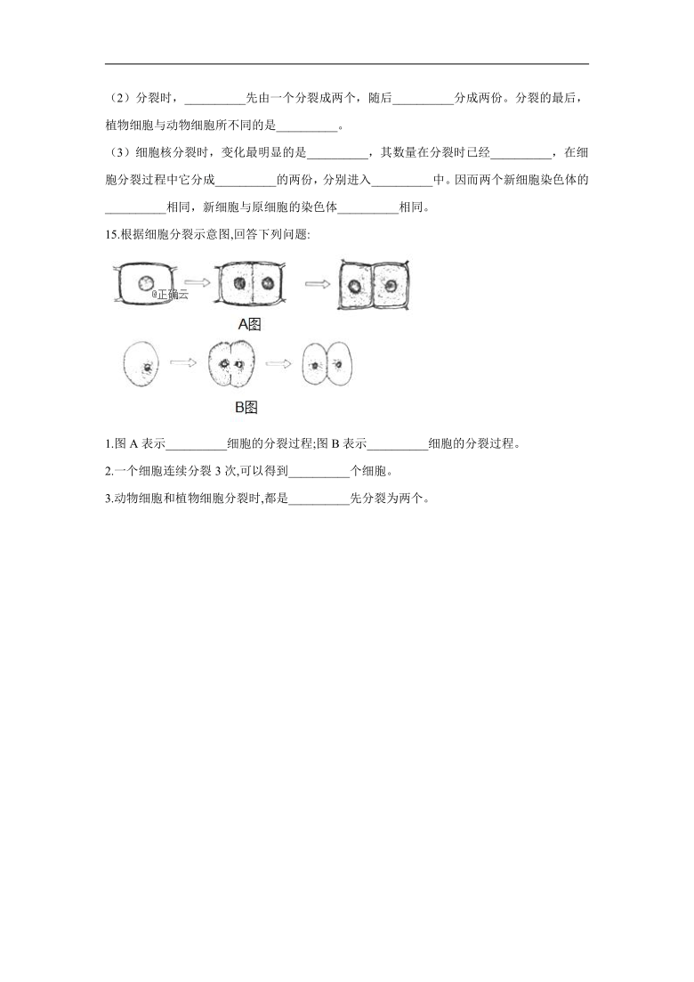 2.2.1细胞通过分裂产生新细胞—2021-2022学年生物人教版七年级上册同步作业（word版 含解析）