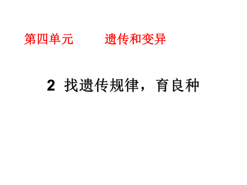 湘教版（2001）五年级下册科学4.2 找遗传规律，育良种（课件18张ppt）