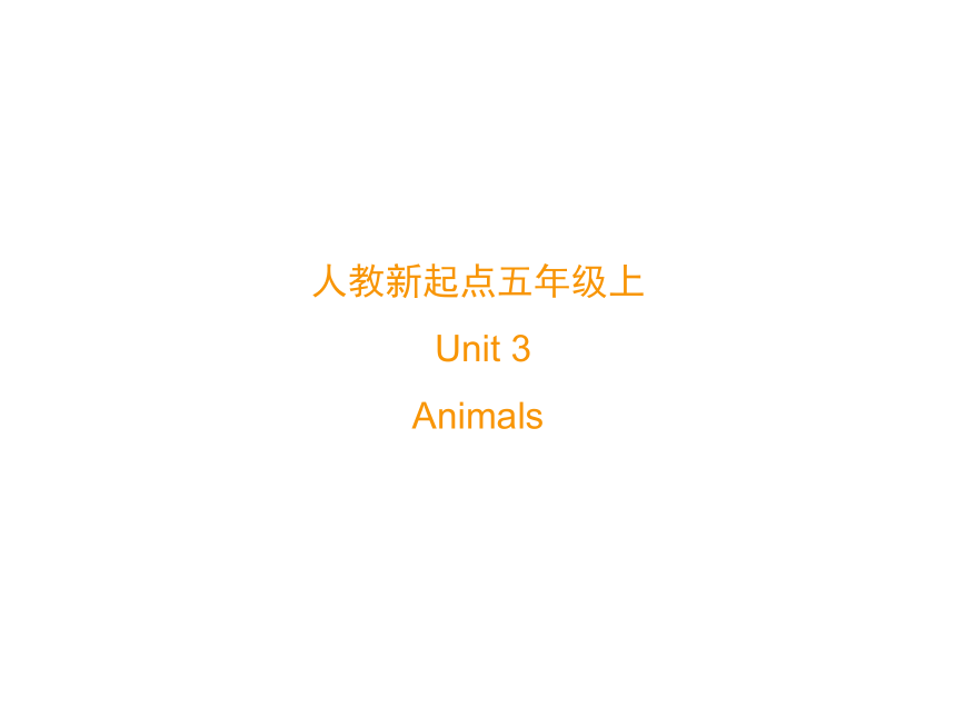 人教新起点五年级英语上册 Unit 3 Animals 课件（共65张PPT）