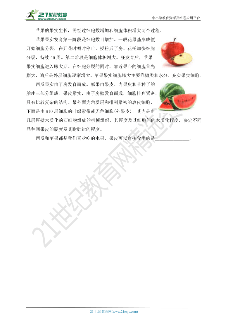 教科版四年级科学下册1.6 果实和种子 同步练习（含答案）