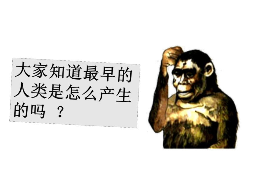 人教版新版七上第1课 中国早期人类的代表-北京人 课件（28张）