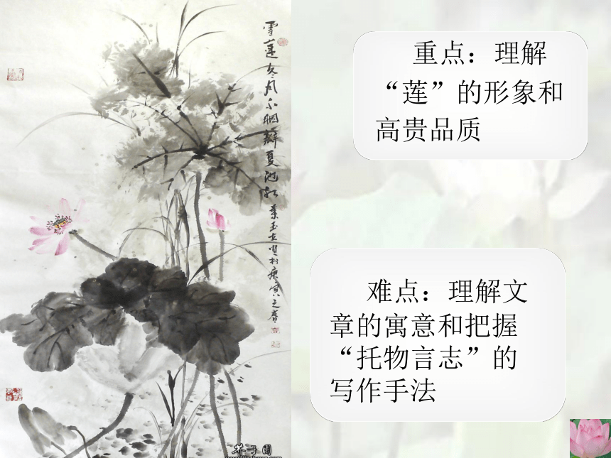 部编版语文七年级下爱莲说说课课件（共21张ppt）