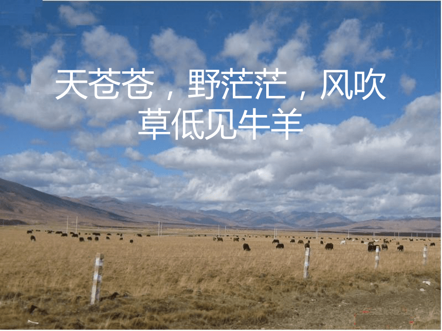 第三节 青藏地区和西北地区 西北地区