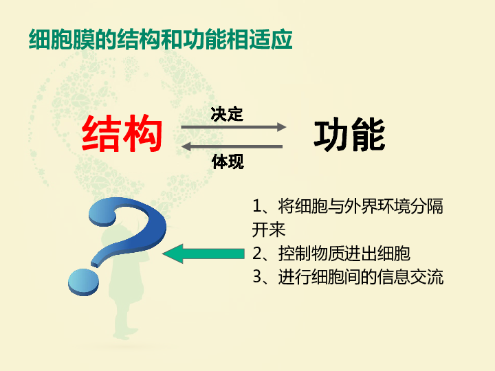 2018-2019学年高一生物人教版必修一生物膜的流动镶嵌模型课件（27张PPT）