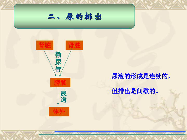 冀教版七年级下册生物32排泄课件21张ppt