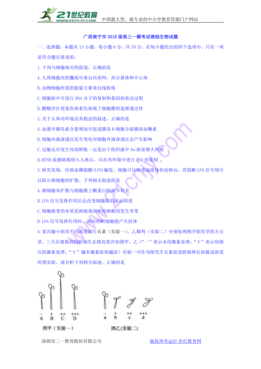 广西南宁市2018届高三一模考试理综生物试题