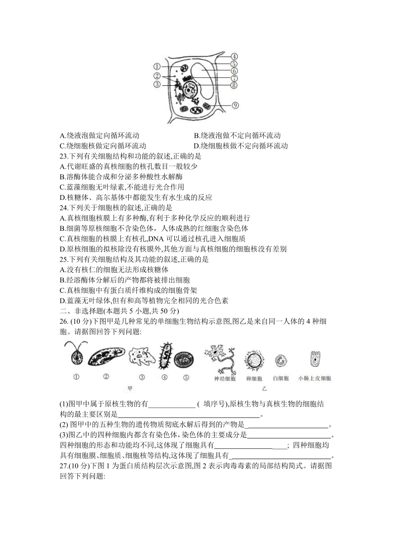 广西南宁上林县中学2019-2020学年高一上学期期中考试生物试卷