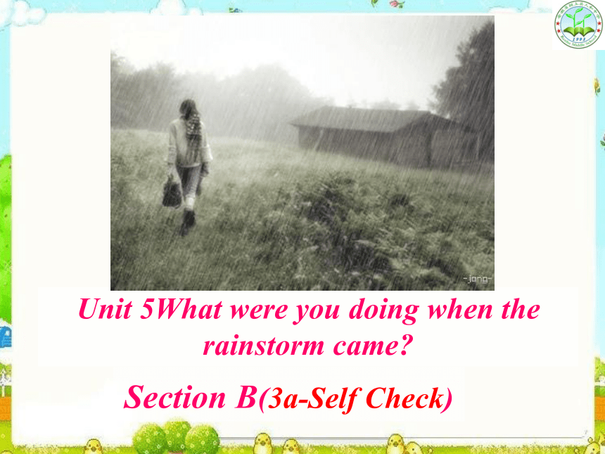 Unit 5 What were you doing when the rainstorm came? SectionB(3a-Selfcheck)(共20张PPT)