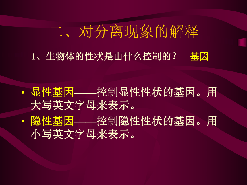 基因的分离定律[下学期]