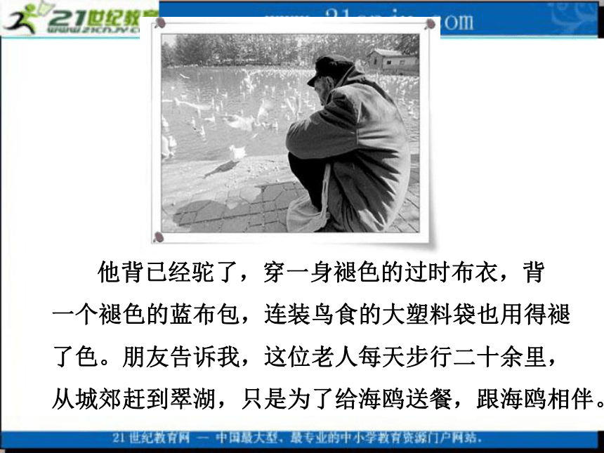 五年级语文上册课件 老人与海鸥 1（北京版）