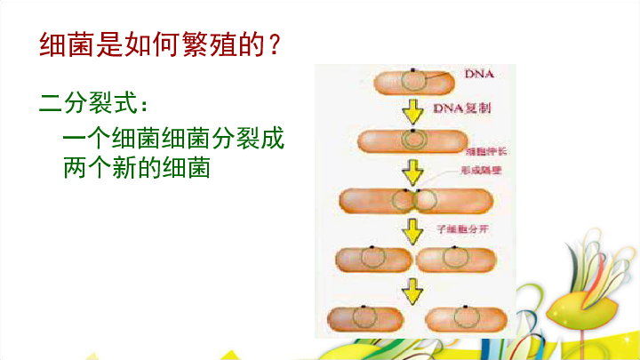 1.2做酸奶 课件（21张PPT）