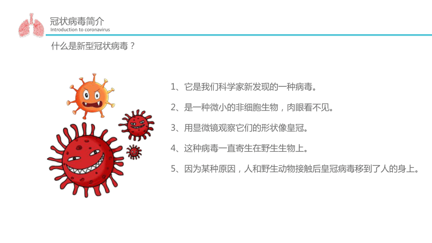 主题班会：防控新冠，从心开始（28ppt）