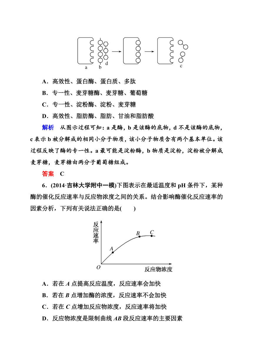 【教师原创】2015年高考生物二轮复习热点专练：酶与ATP（含解析）