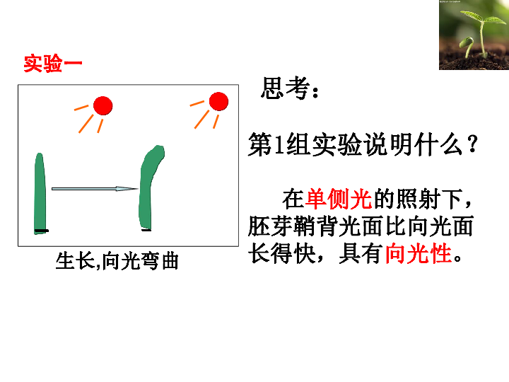 人教版高二生物必修三 第三章 第一节 植物生长素的发现  （共33张PPT）