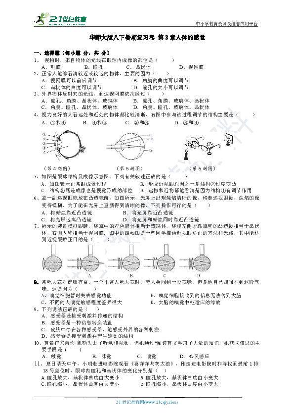 华师大版暑期复习卷 八年级下册 第3章 人体的感觉 单元测试（含解析）