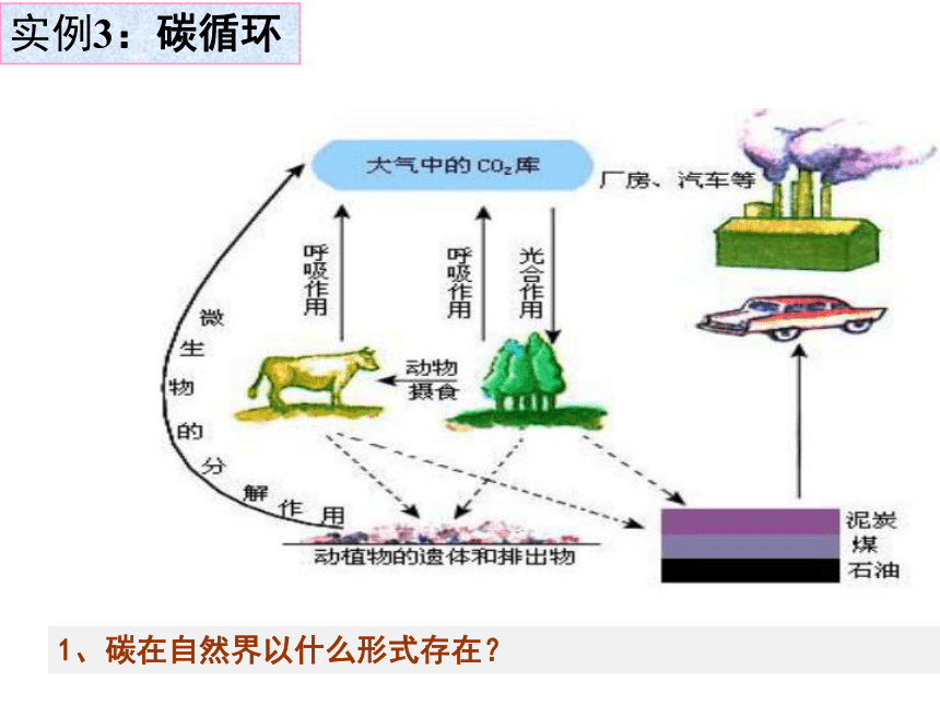 3.5.3 生态系统的物质循环课件（共35张PPT）