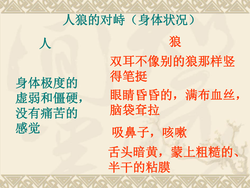 《热爱生命》课件