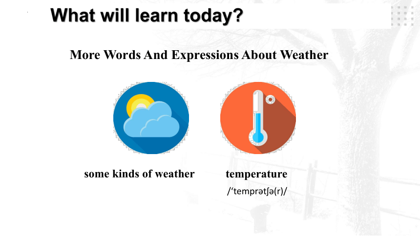 unit8topic1whatstheweatherlikeinsummersectionb課件共56張ppt內嵌