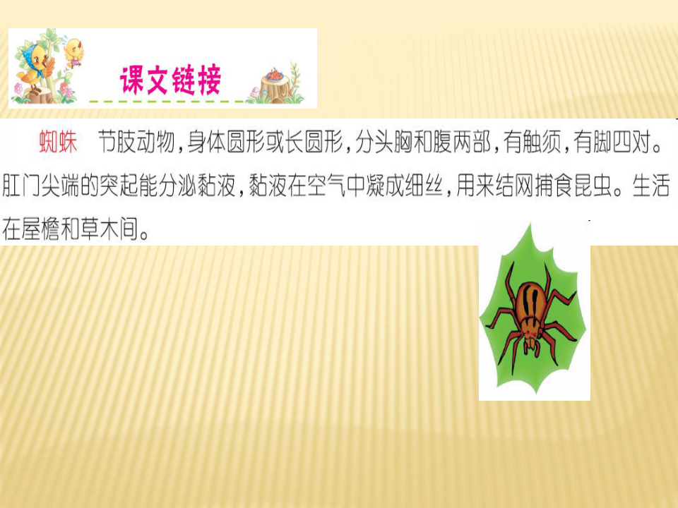 课件预览