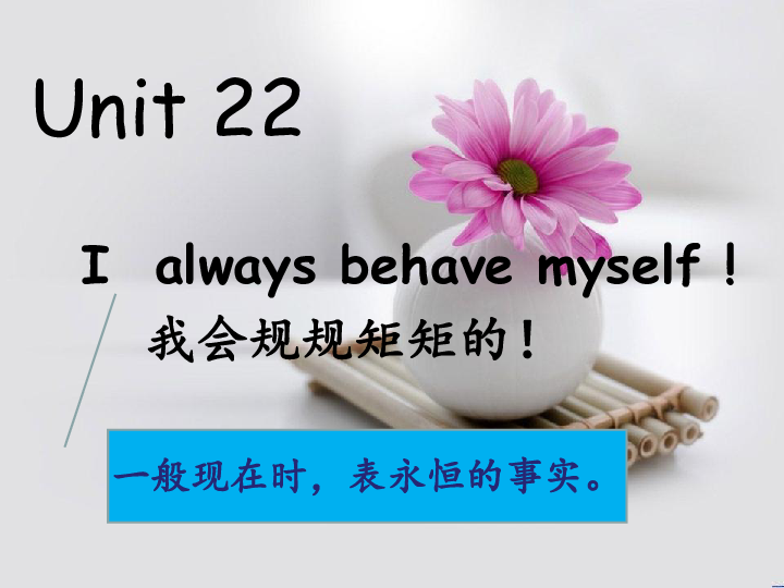 新概念英语青少版2B：Unit 22 I always behave myself! 课件（59张PPT）