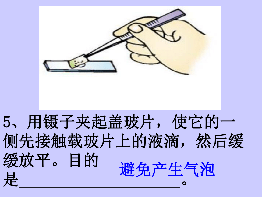 细胞的结构和功能