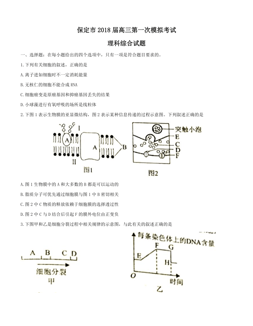 河北省保定届高三第一次模拟考试 理综