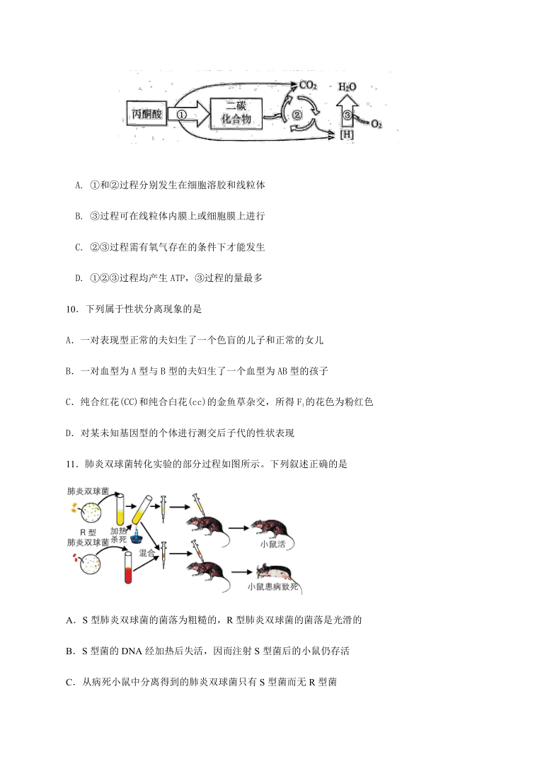 浙江省磐安县二中2020-2021学年高二10月竞赛生物试题