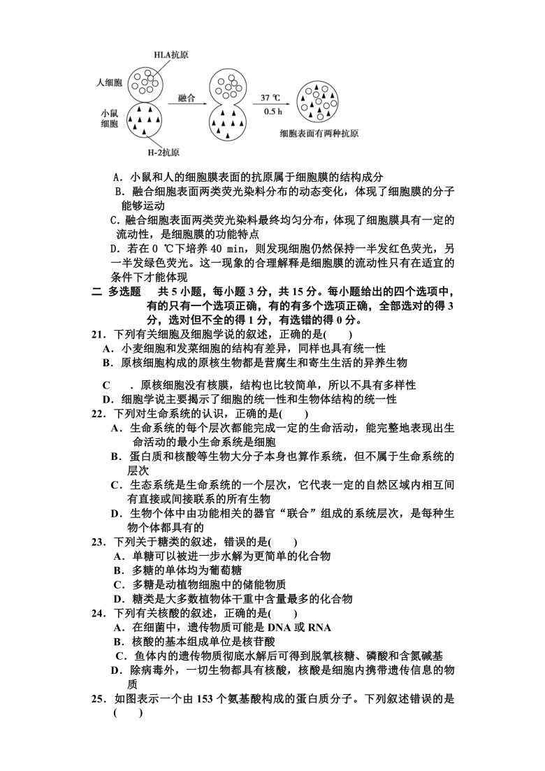 辽宁省凌源市第三中学2020-2021学年高一上学期第二次月考（11月）生物试卷 含答案