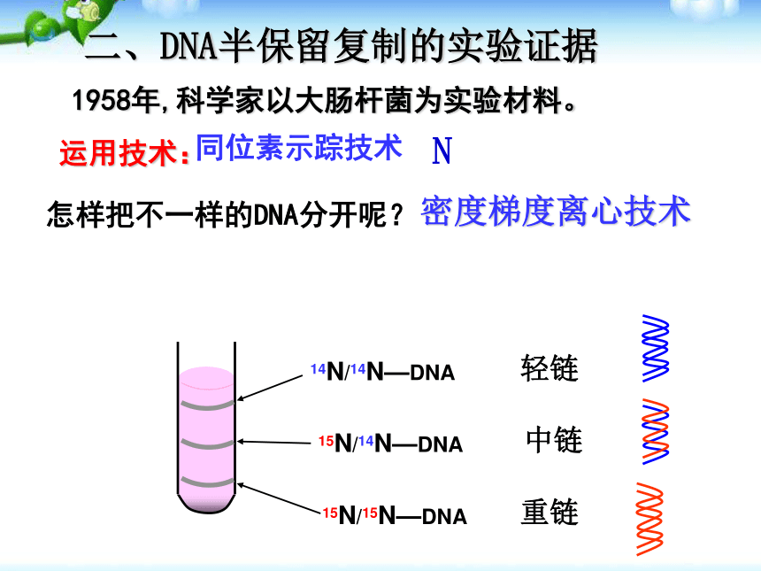 高中生物人教版必修二第三章第3节 DNA的复制 课件 33张PPT