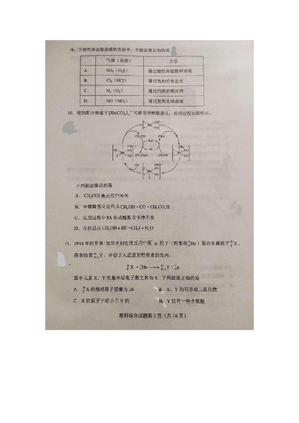 2020年高考 全国卷I 理综试题（图片版，无答案）