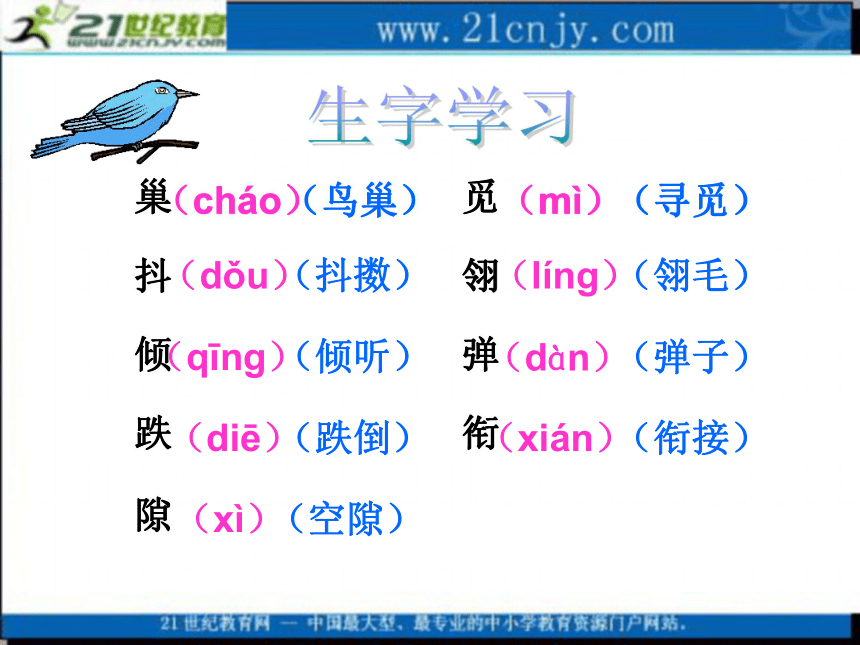 三年级语文上册课件 一只小鸟 3（北师大版）