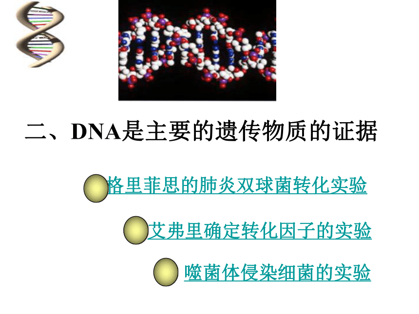 高中生物北师大必修二第2张第2节 DNA贮存遗传信息（20张）
