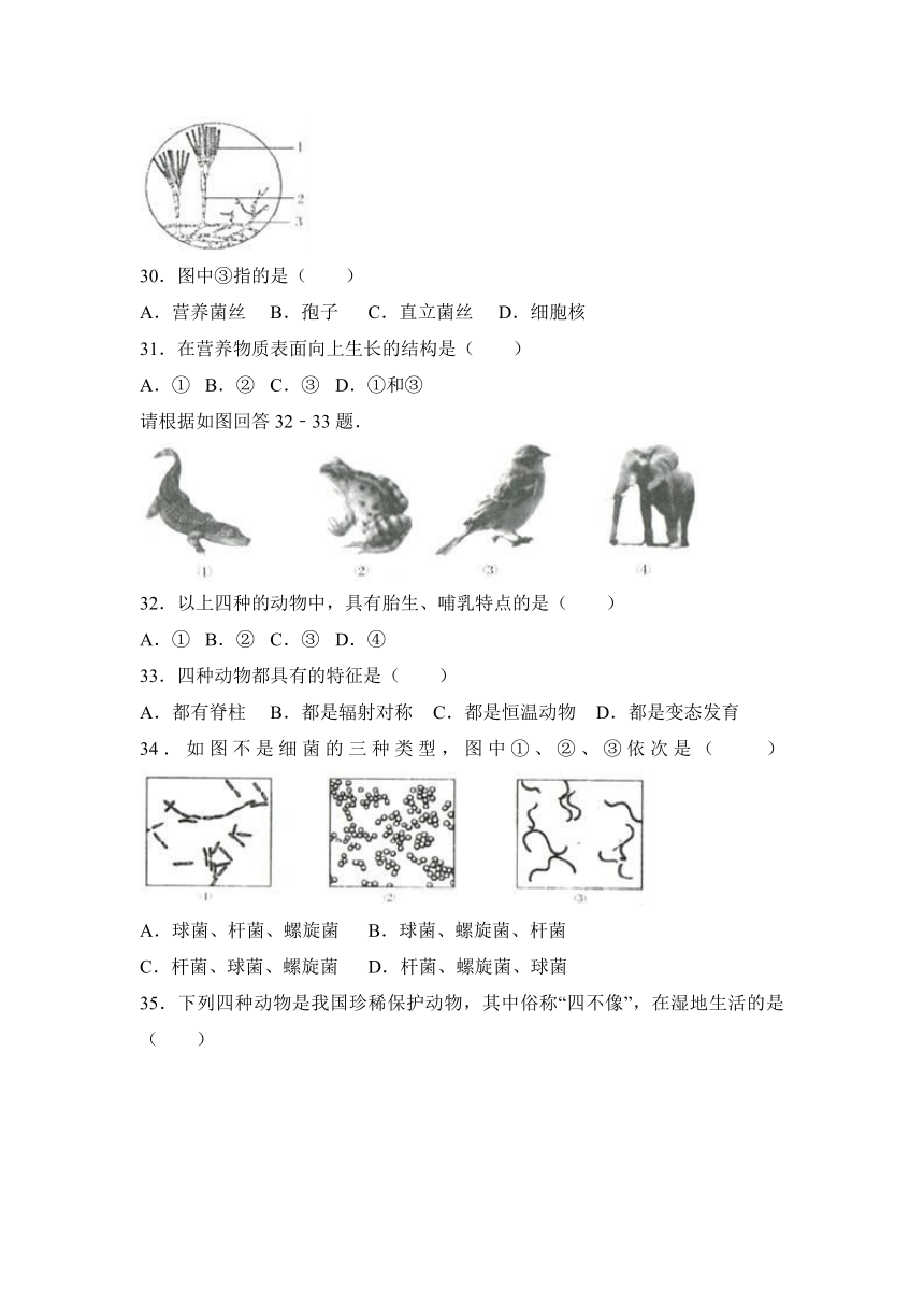 吉林省长春市汽车经济技术开发区2016-2017学年八年级（上）期末生物试卷（解析版）