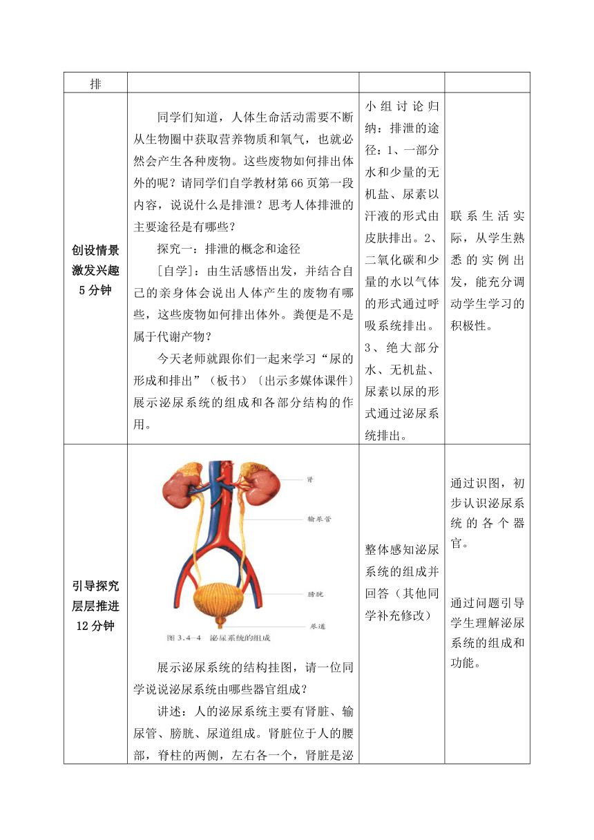 【济南版】七年级生物下册教案：第3单元第4章第1节：尿液的形成和排出(第一课时）