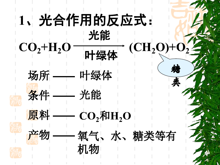 光合作用方程式图片