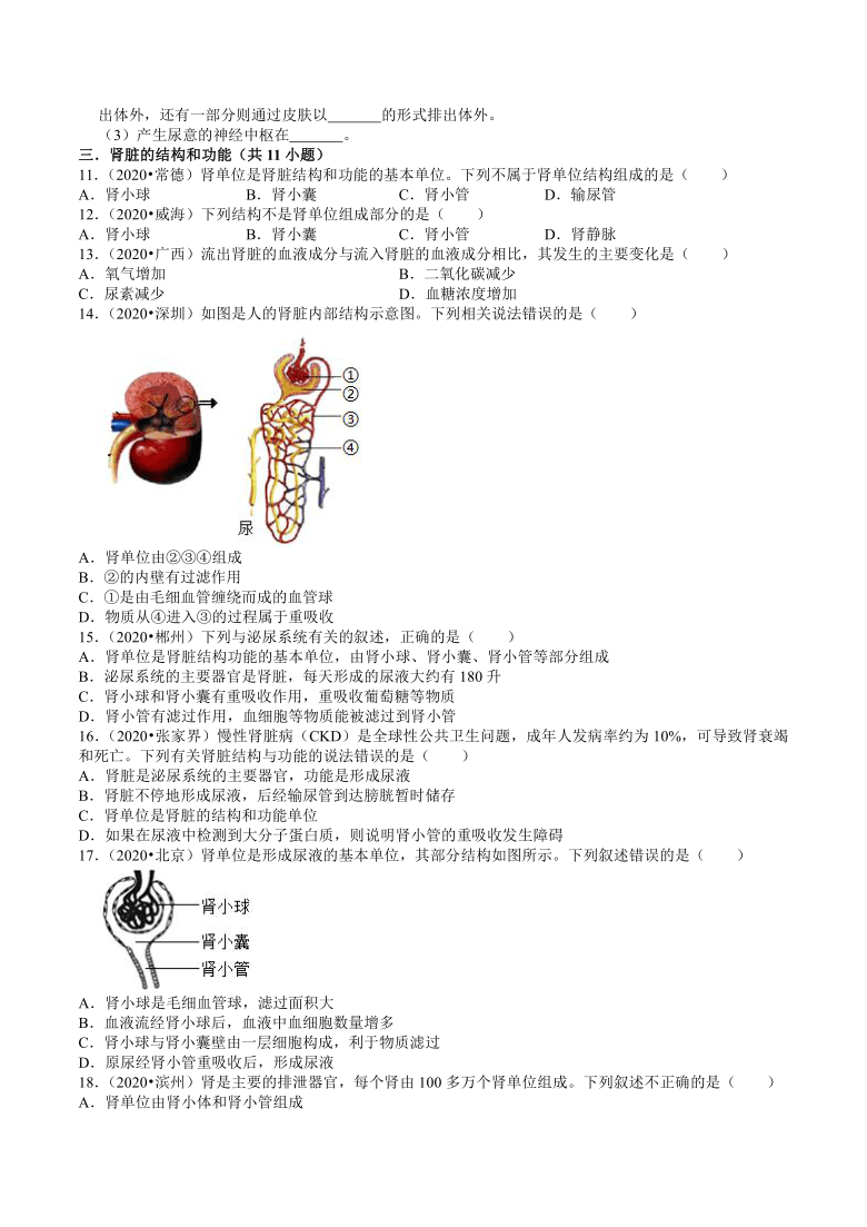 2020年全国中考生物试题分类（11）——人体的泌尿系统（word版含解析）