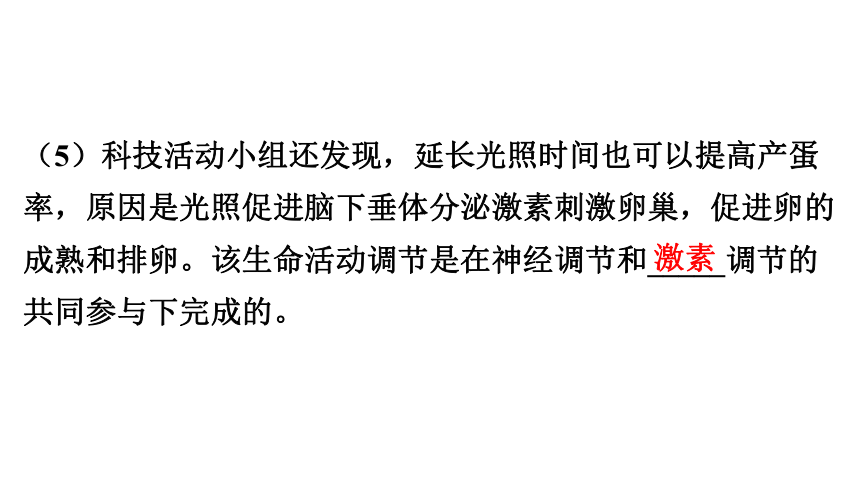 2018届中考生物重点题型突破课件：（二）课外实验 (共41张PPT)