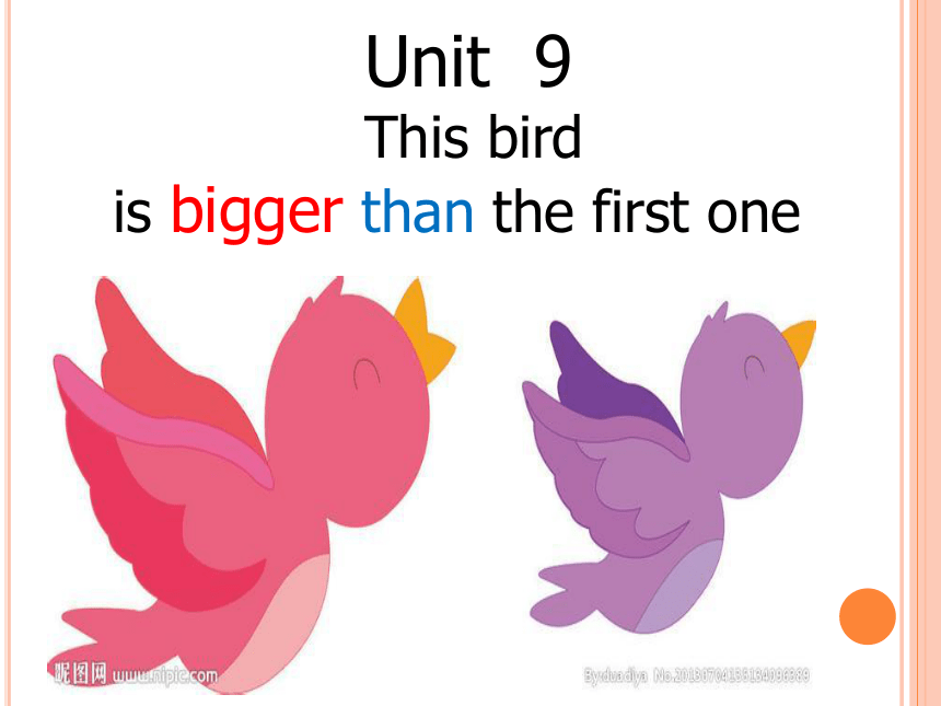 Unit 9  this bird is bigger than the first one 课件 14张