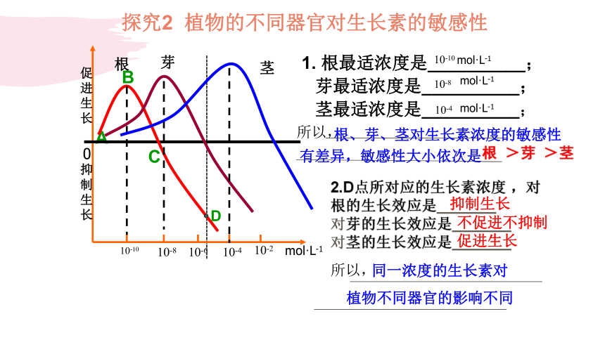 20212022学年高二上学期人教版必修三32生长素的生理作用课件37张ppt