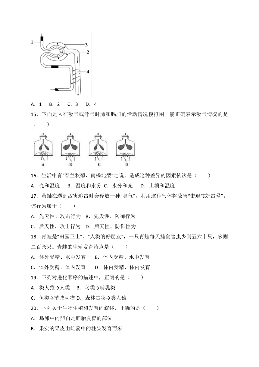 山东省德州市2018年中考生物试卷（WORD版，含答案）