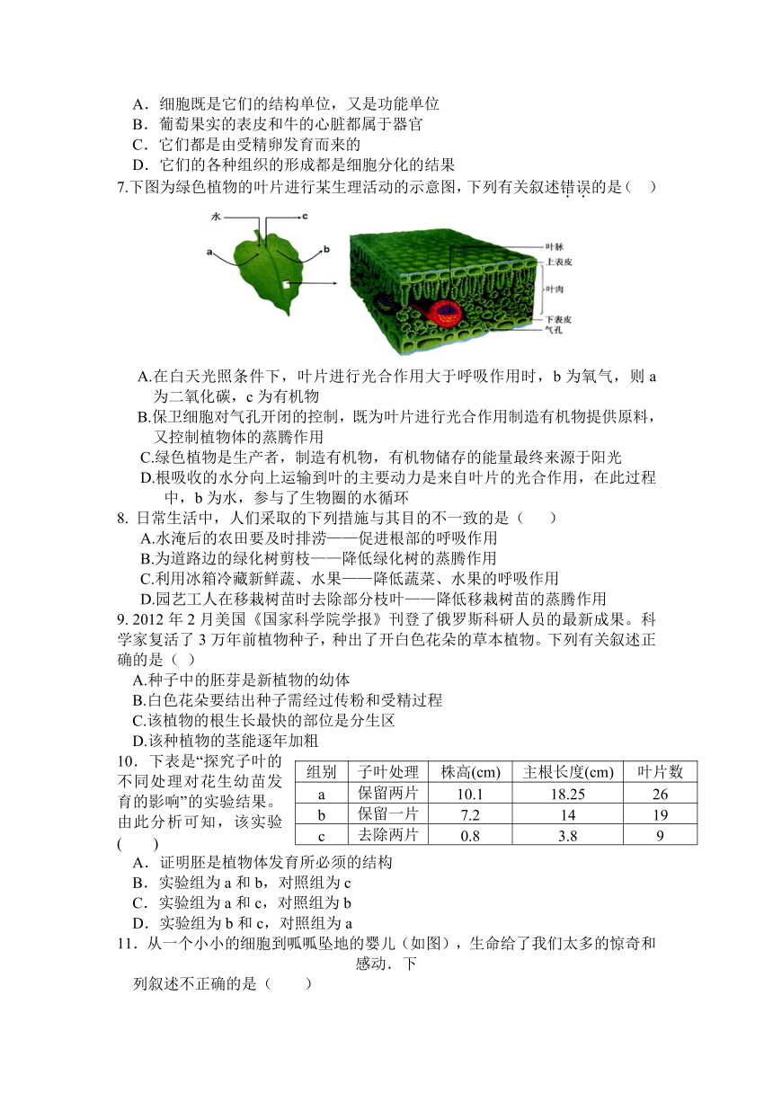 江西省新余市2016届初三上学期期末统考生物试卷（有答案）