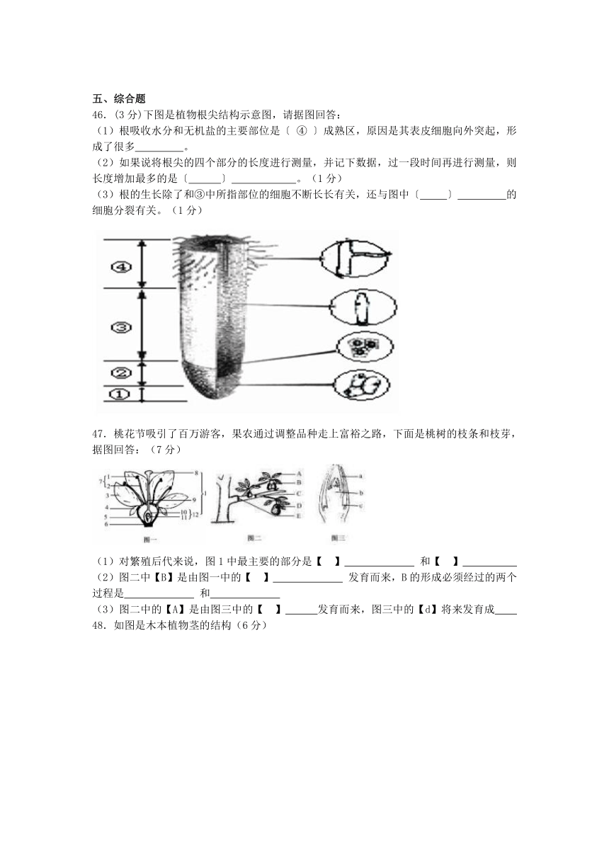 2013-2014学年度生物中考二轮复习专题卷--植株的生长