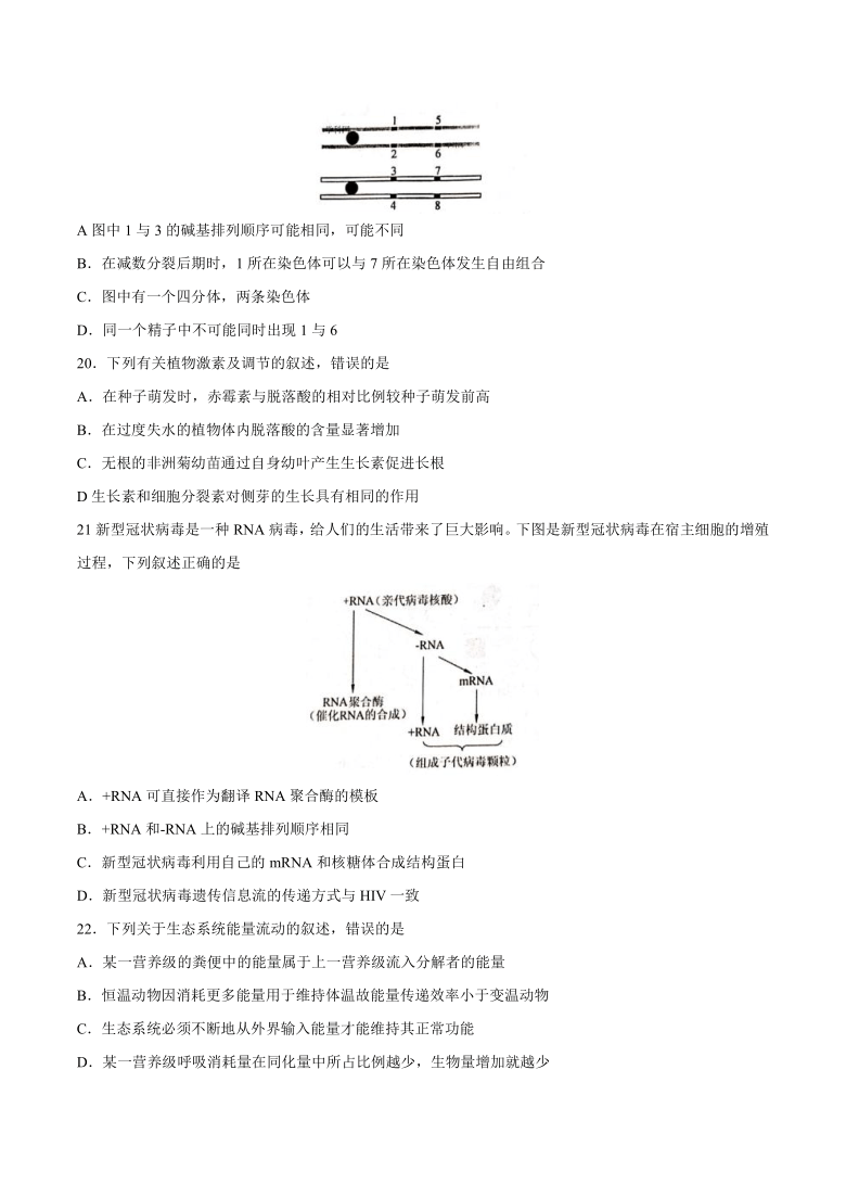 浙江省“七彩阳光”新高考研究联盟2021届高三上学期返校联考生物试题