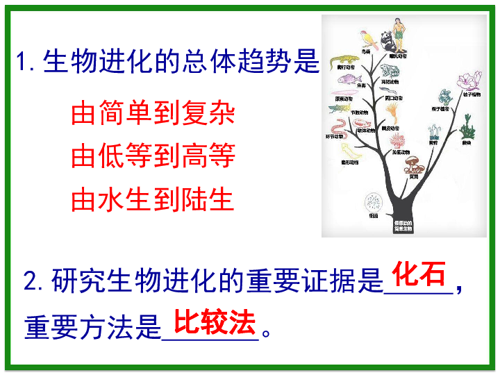 人教版生物八年级下册7.3.3 生物进化的原因(共37张PPT)