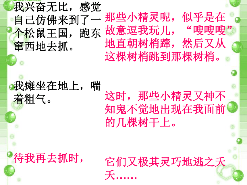 《那只松鼠》课件