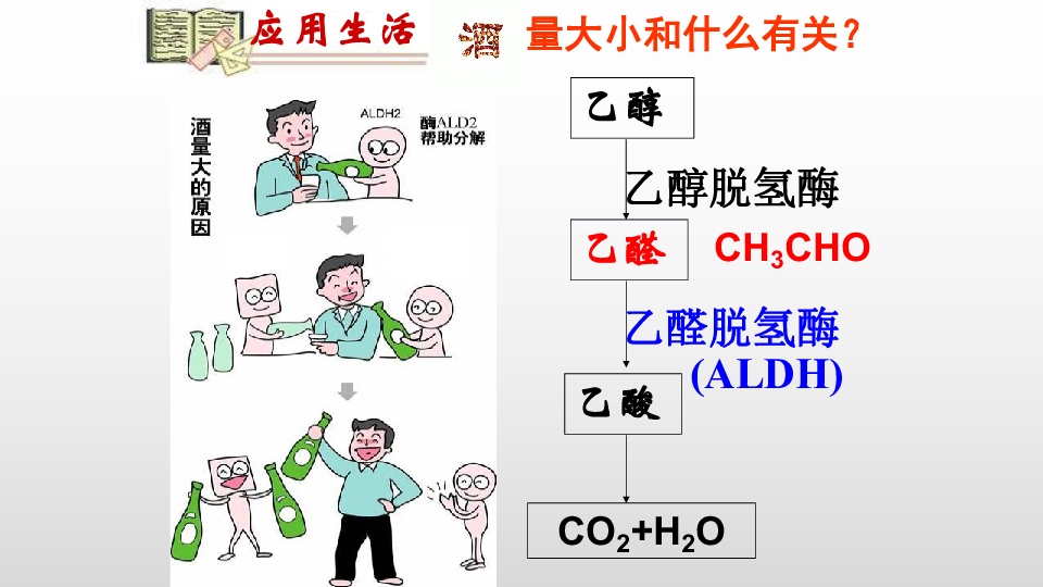 人教版高中化学人教版必修二课件--3.3.1 乙醇(共32张ppt）